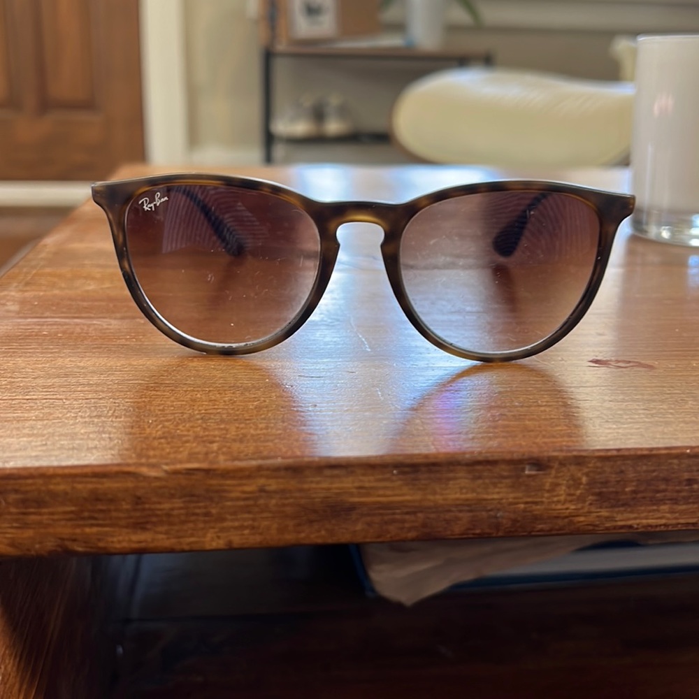 Ray Ban Erika Sunglasses